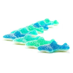 AMS SOUR SHARKS
